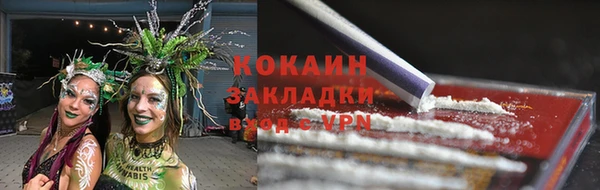 эйфоретик Бородино