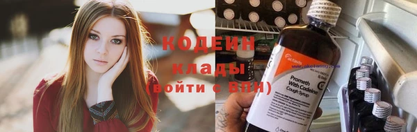 эйфоретик Бородино