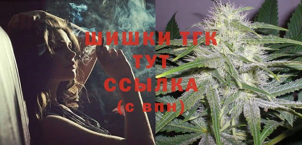 эйфоретик Бородино