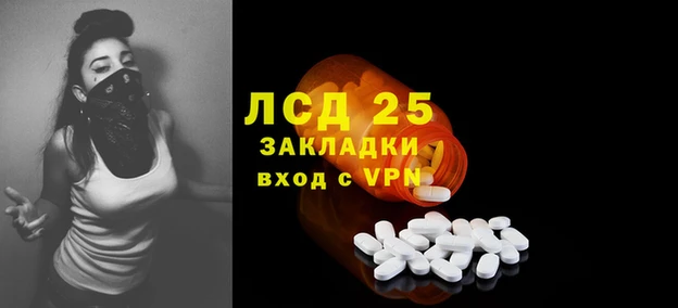 эйфоретик Бородино
