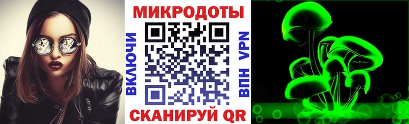 сколько стоит  Курск  мега маркетплейс  Галлюциногенные грибы Psilocybine cubensis 